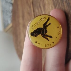 Aquarius pin brooch‎ B419
